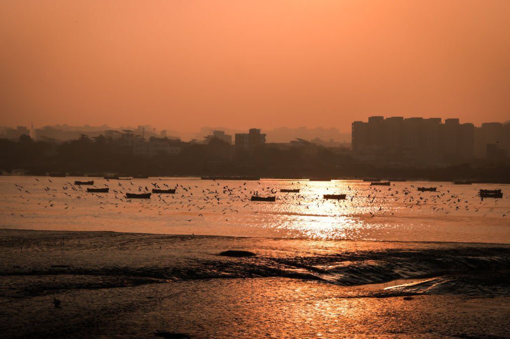 Best Places to Visit in Surat