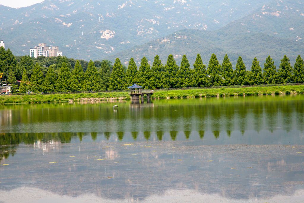 Places to visit in Assam