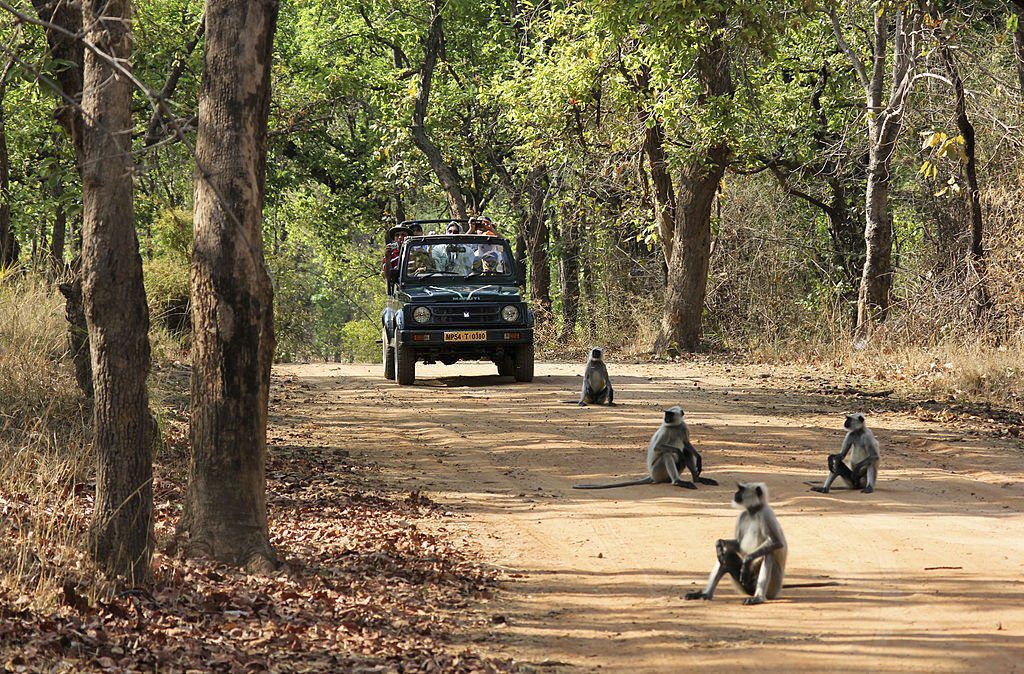 Indian national parks and wildlife sanctuaries tripowe