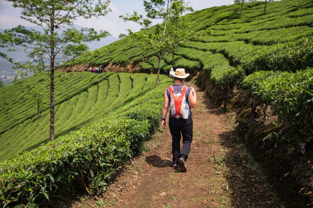 munnar