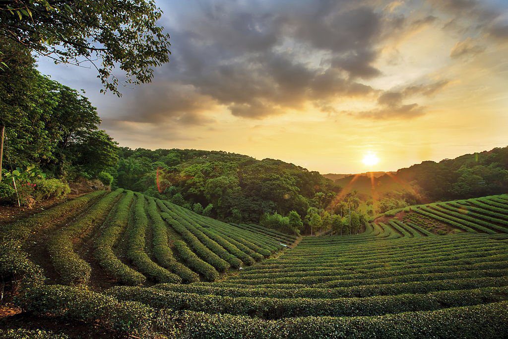 munnar