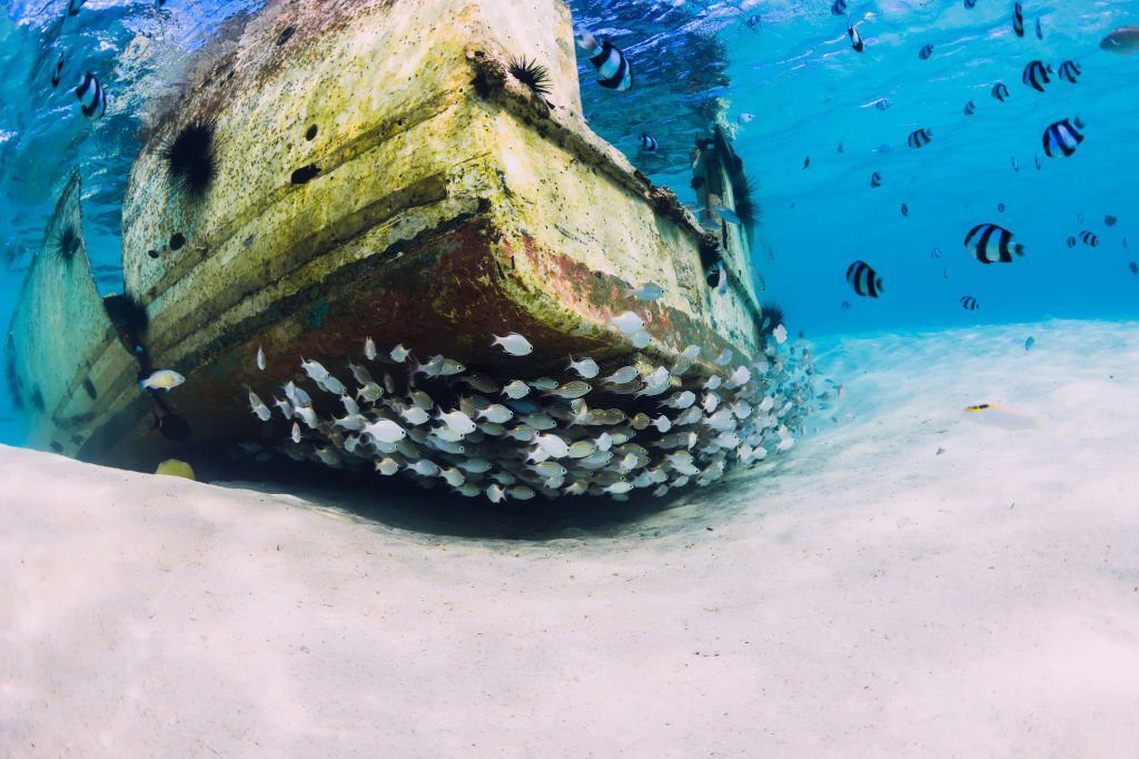 Mauritius Travel Guide