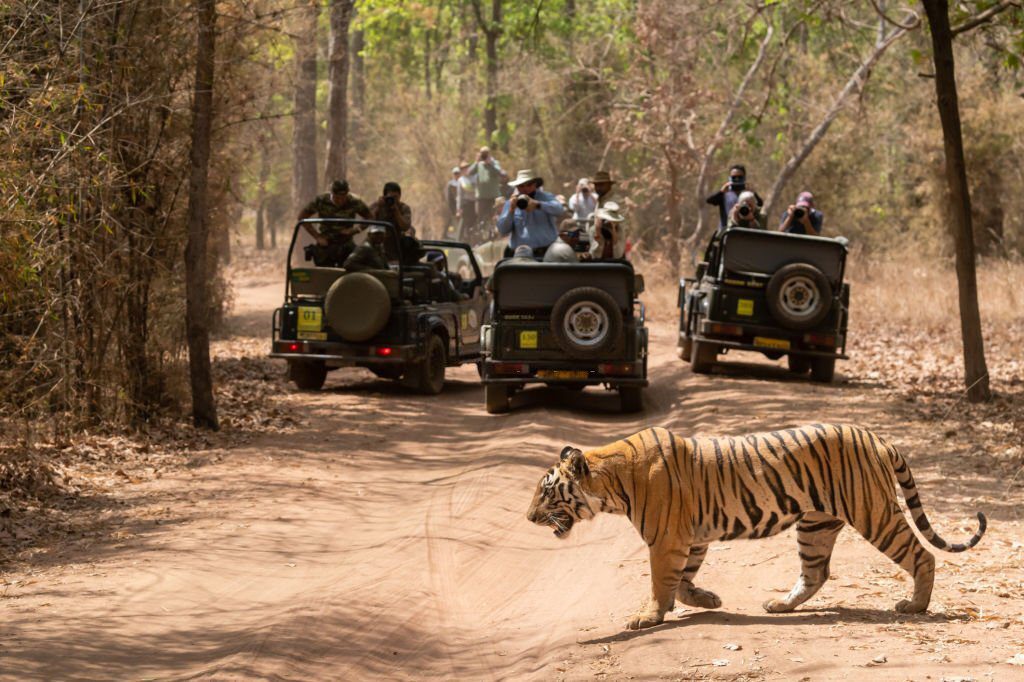 Places to visit in Maharashtra