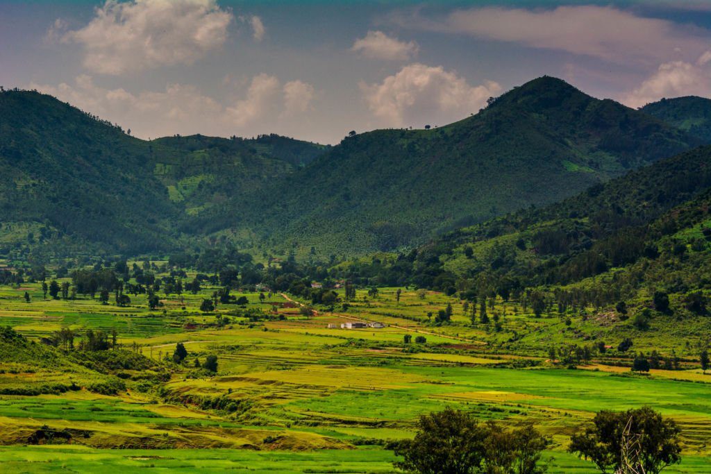 Araku Valley, tripowe.com
