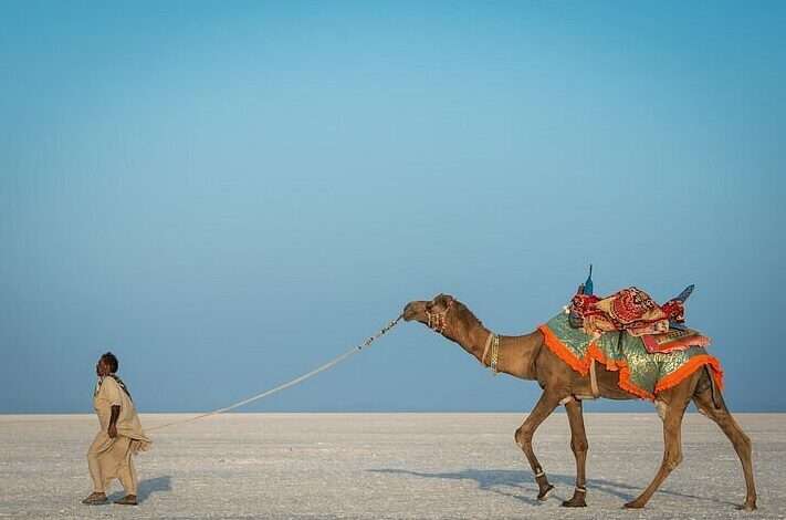 The Enchanting Rann of Kutch