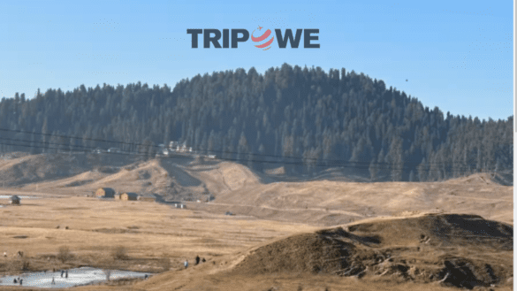 no snow in gulmarg