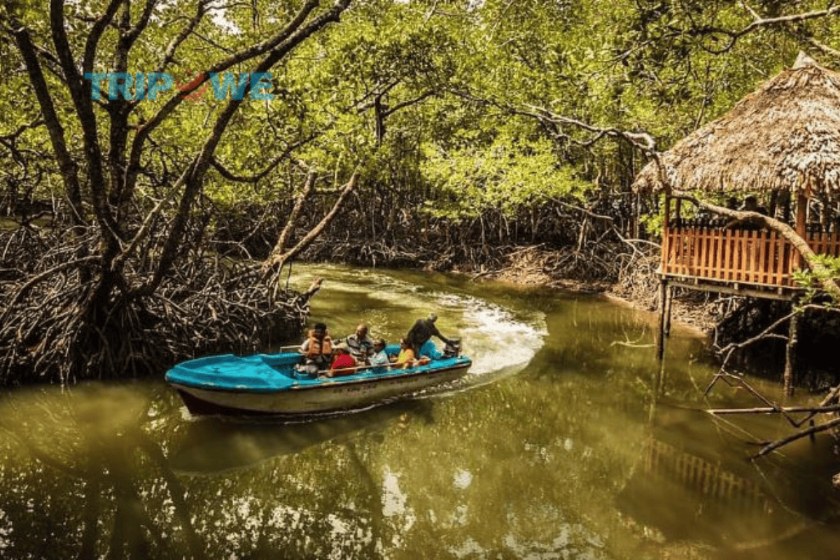 Andaman and Nicobar Islands