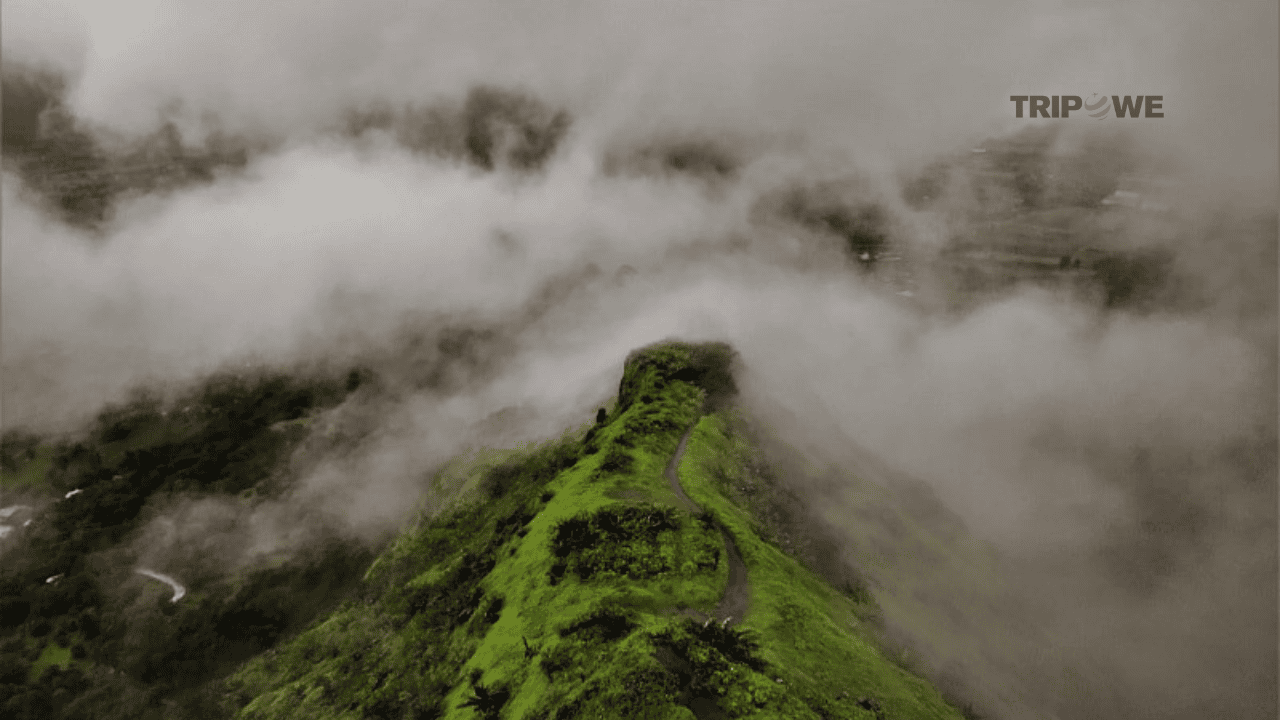 Top historical forts in Maharashtra
