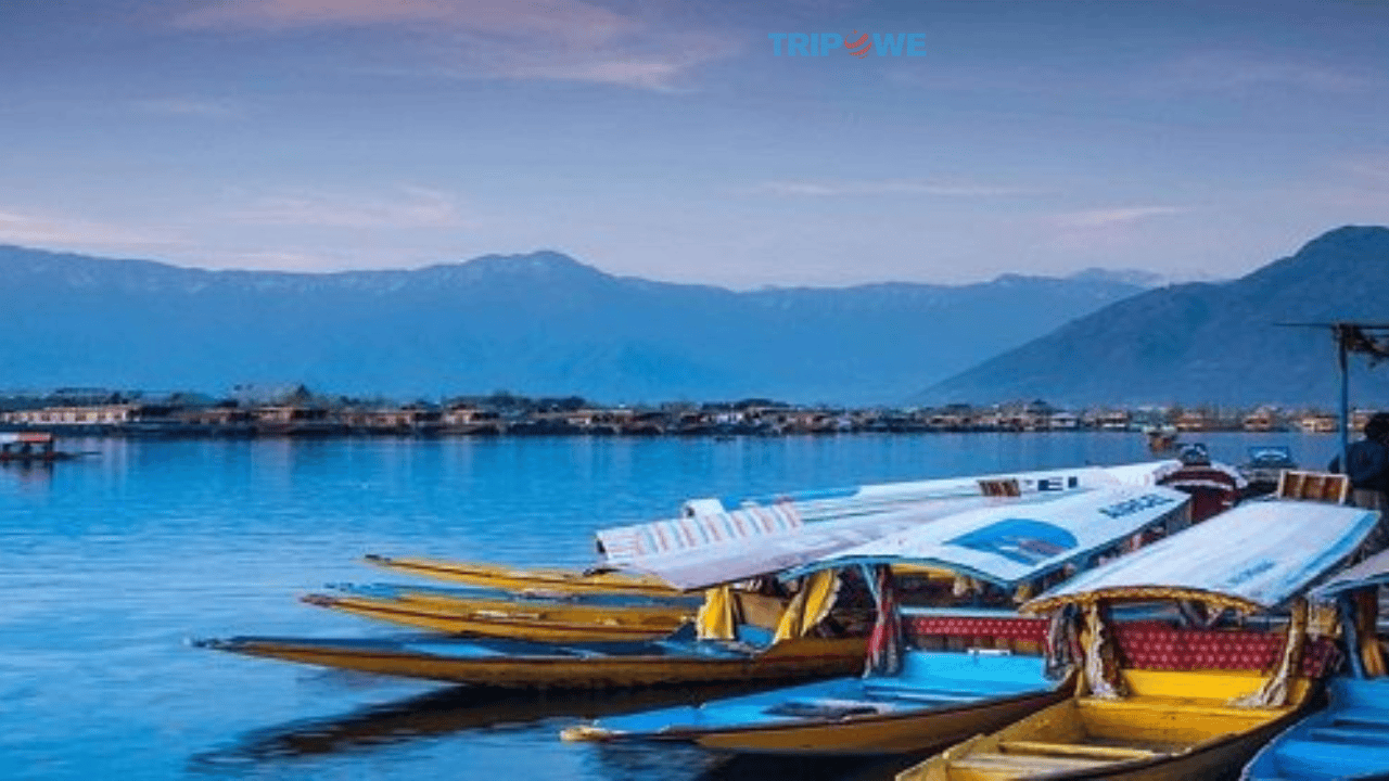 Srinagar: Jewel of the Valley