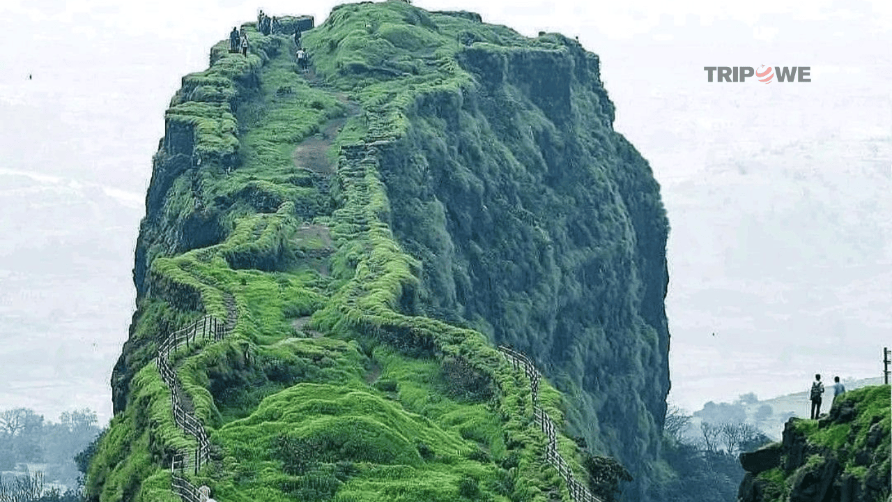 Top historical forts in Maharashtra