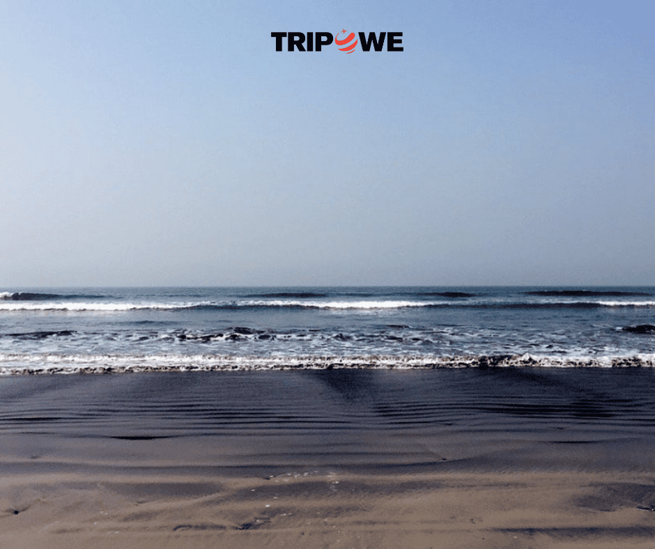 Top Beaches in India to Visit in this Summer