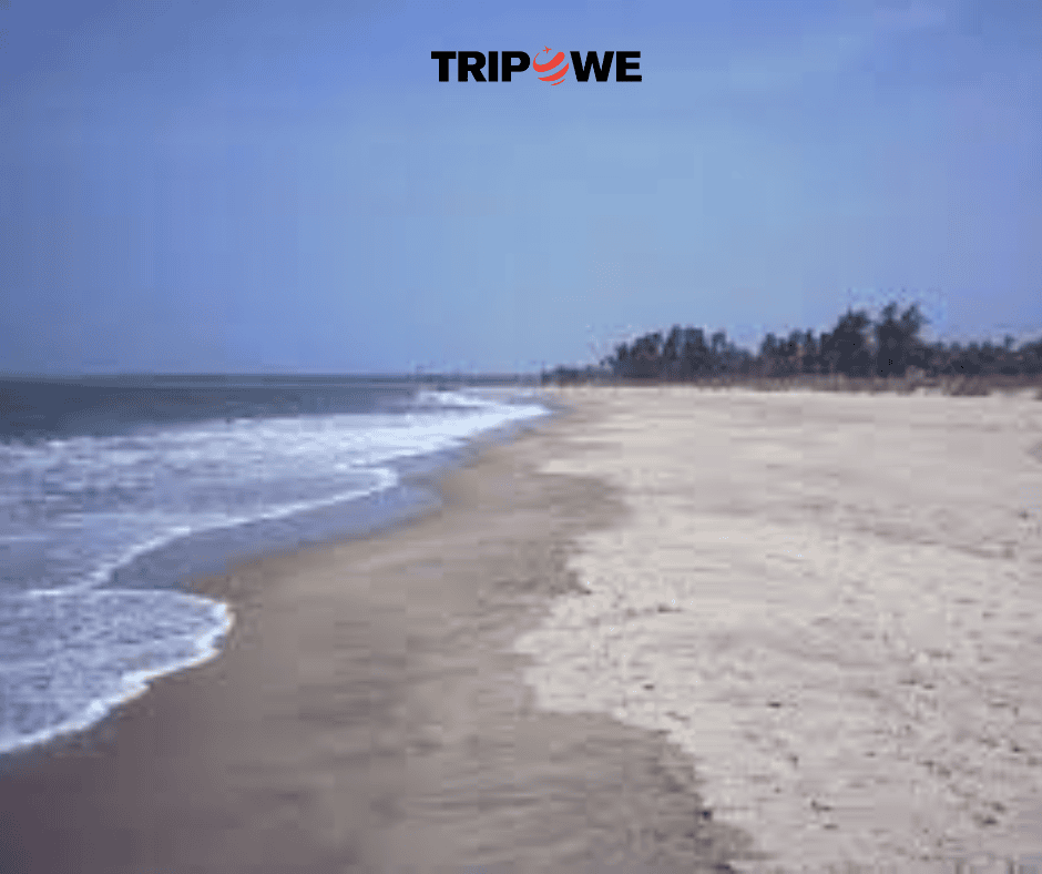 Tarkarli Beach, Maharashtra tripowe.com