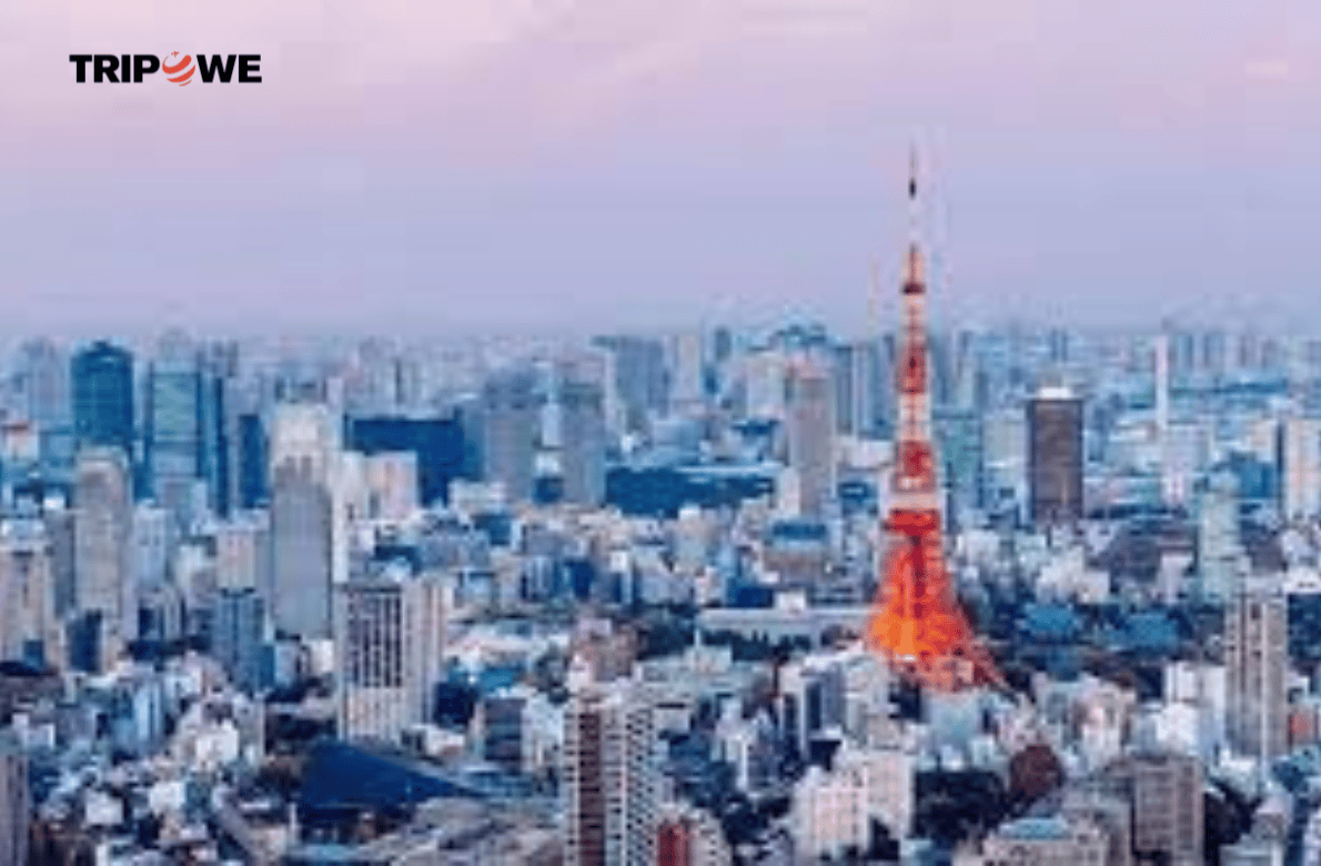 Trending Places to Visit in Japan in 2024
