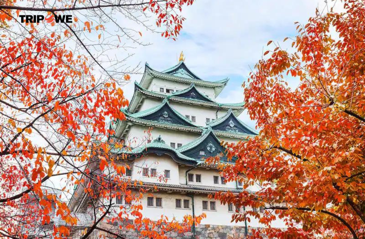 Nagoya tripowe.com