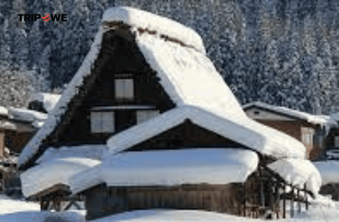 Shirakawago and Gokayama tripowe.com