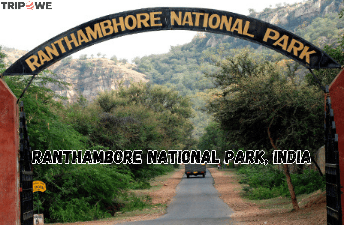 Ranthambore National Park, India