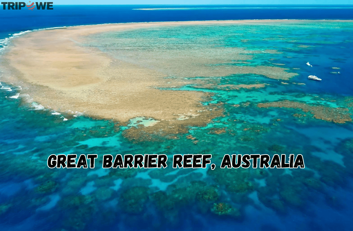 Great Barrier Reef, Australia tripowe.com