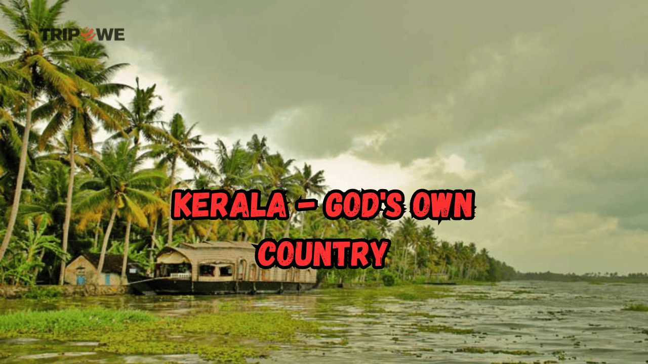 Kerala - God's Own Country