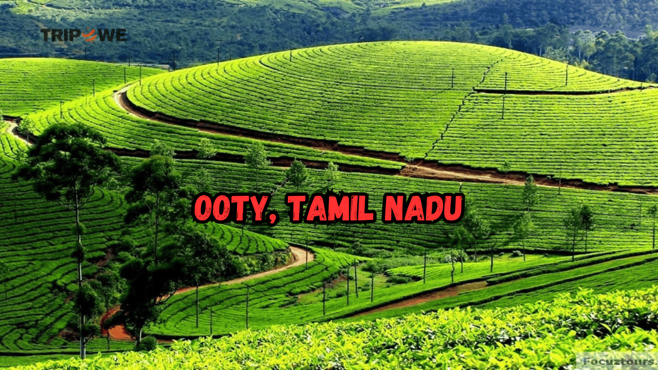 Best Honeymoon Places in India in March April 2024