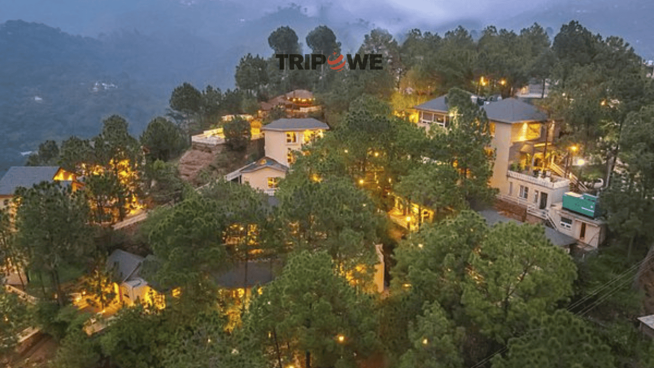 Kasauli , India