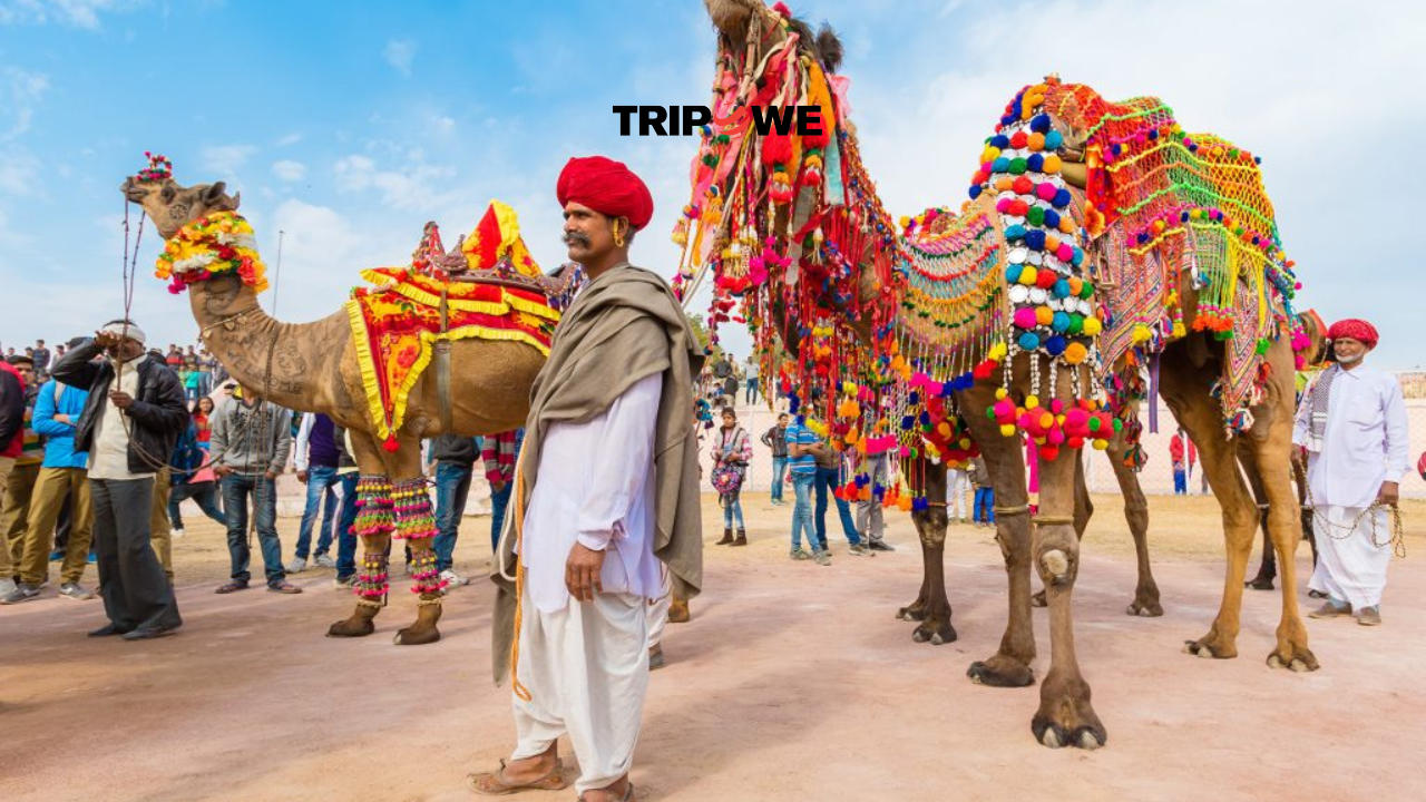 Pushkar, Rajasthan