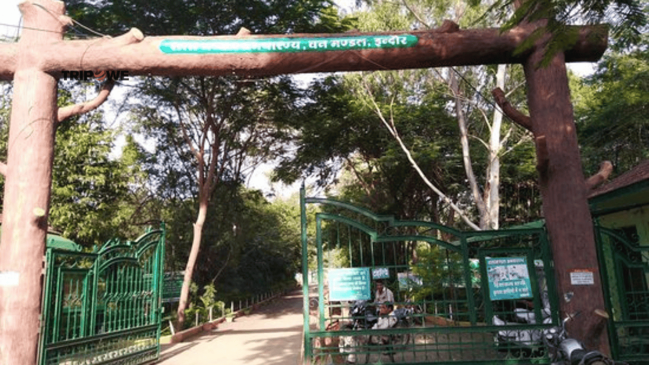 Places to Visit in Indore with Friends