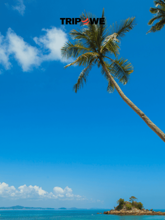 Best places to visit in summer in India with friends