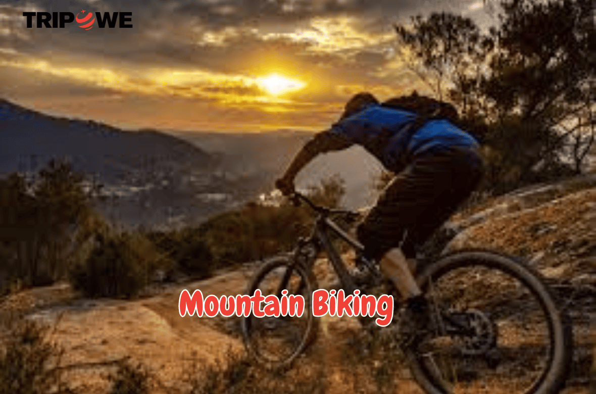 Mountain Biking tripowe.com