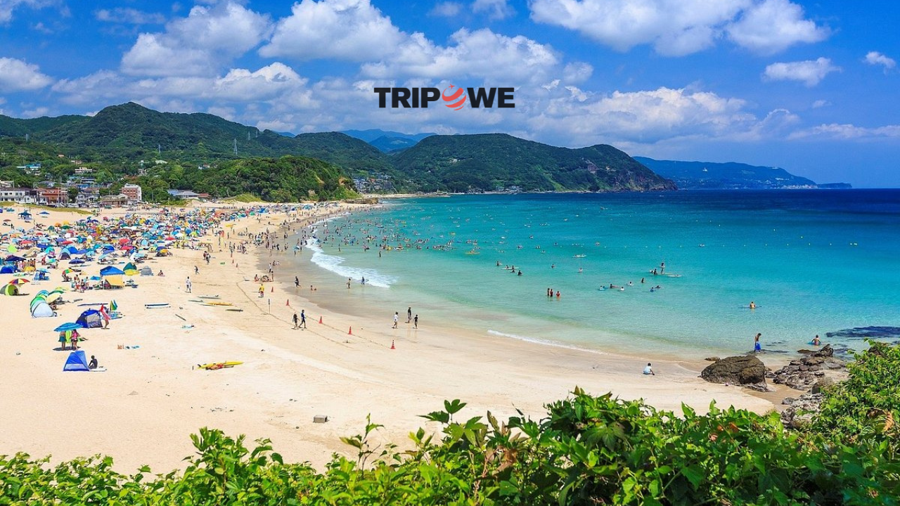 Tripowe