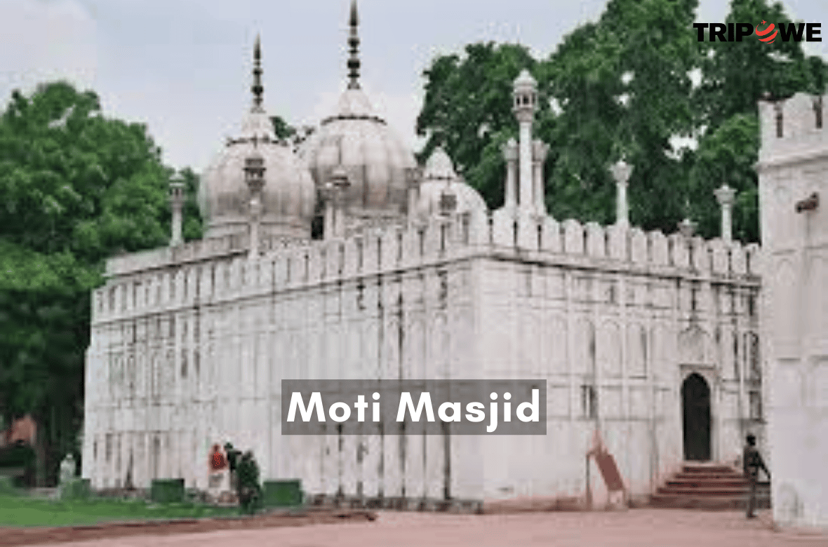 Moti Masjid tripowe.com