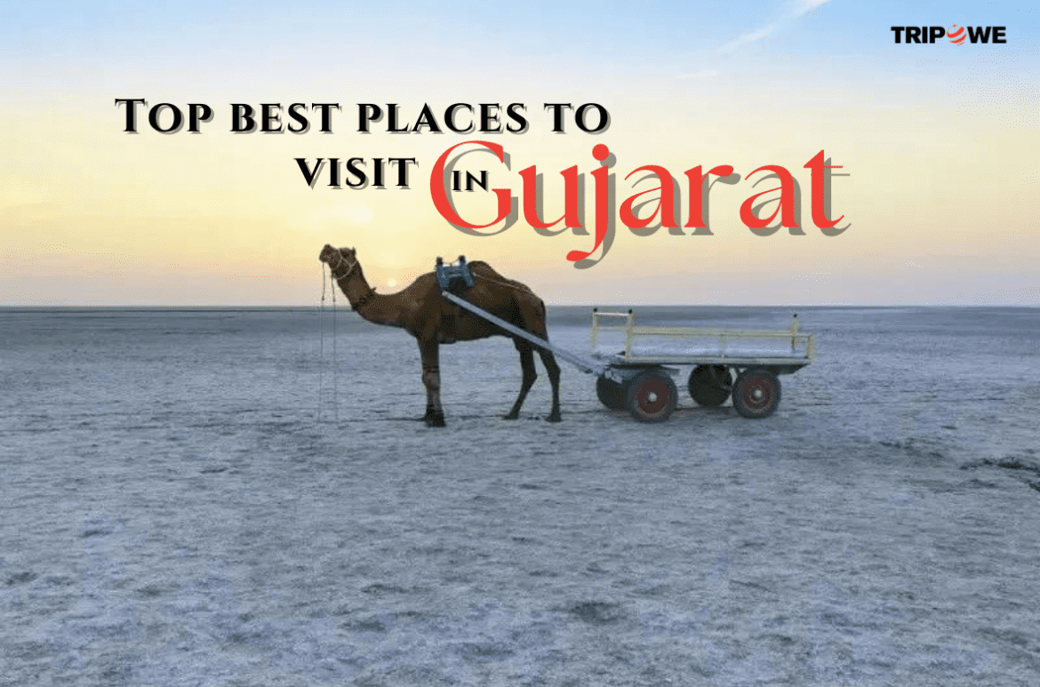 Top best places to visit in Gujarat