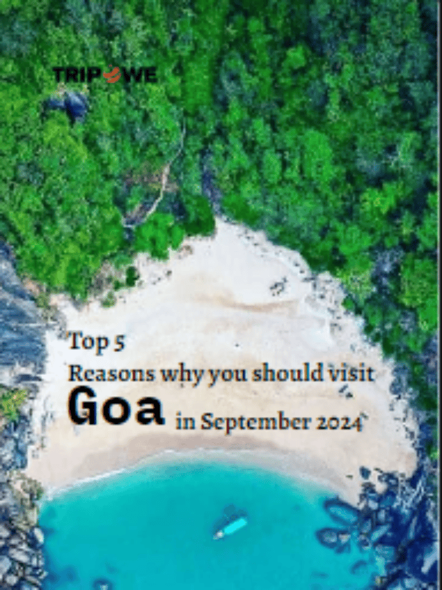 Top 5 Reasons why you should visit Goa in September