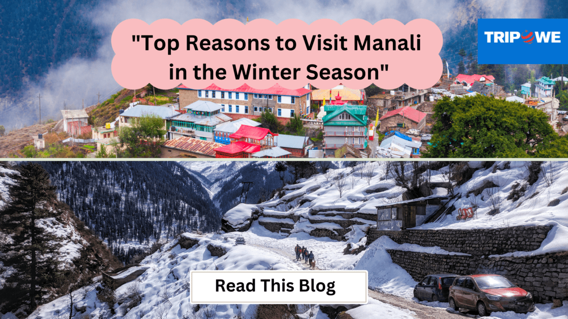 visit manali in winter season