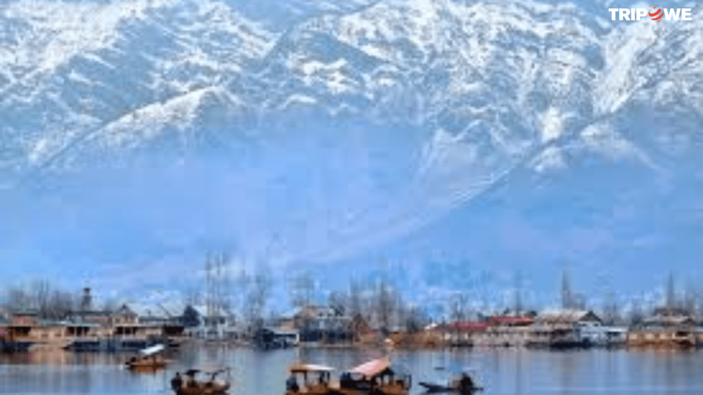 Reasons to Visit Kashmir During the Winter Season