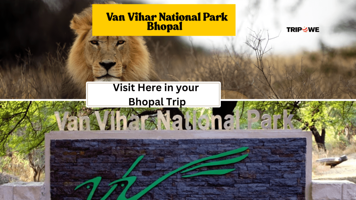 Van Vihar National Park Bhopal-Tripowe.com