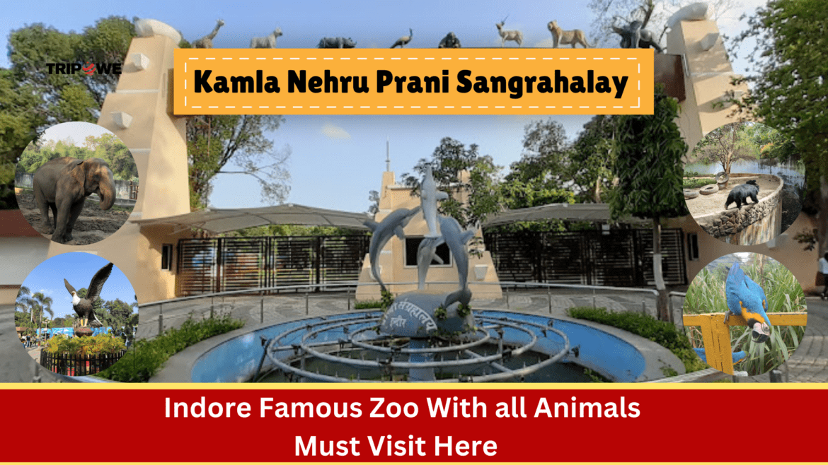 Kamla Nehru Prani Sangrahlay -Tripowe.com