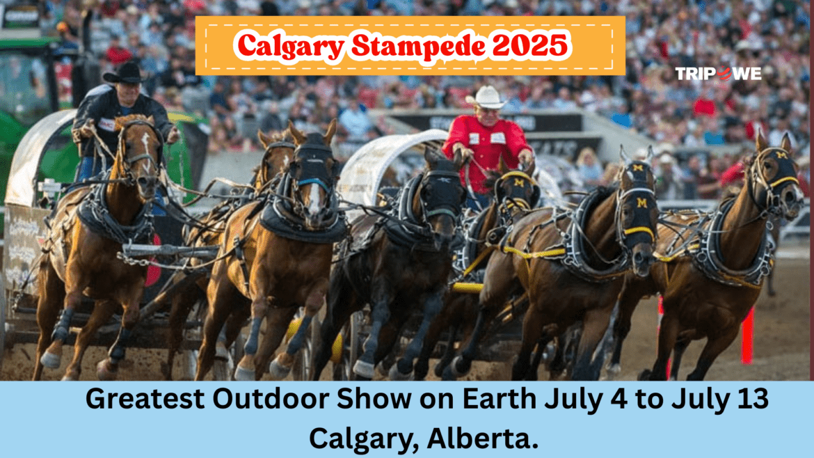 Calgary Stampede 2025-Tripowe.com