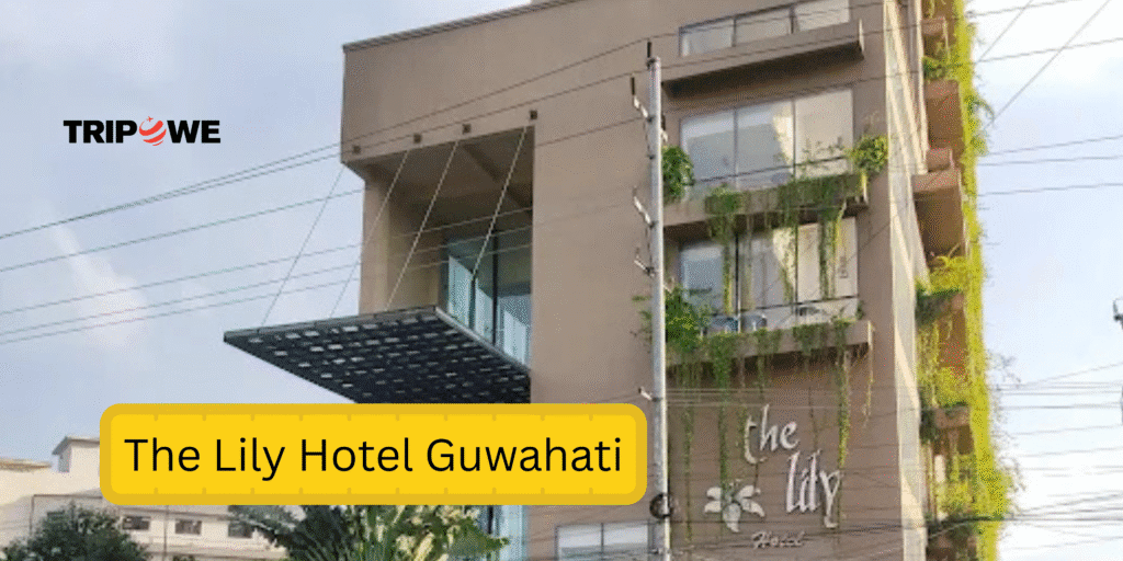 Post Malone Live in Guwahati 2025
Tripowe.com